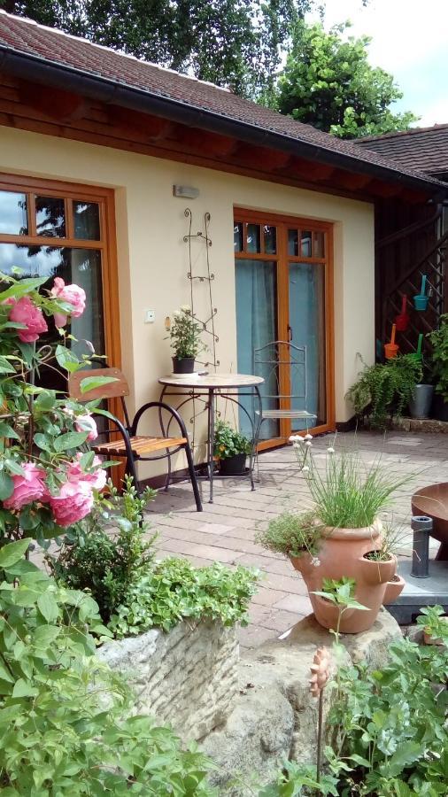 Apartment Mit Gartenblick Eckersdorf Bagian luar foto