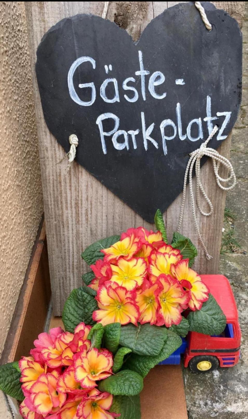 Apartment Mit Gartenblick Eckersdorf Bagian luar foto