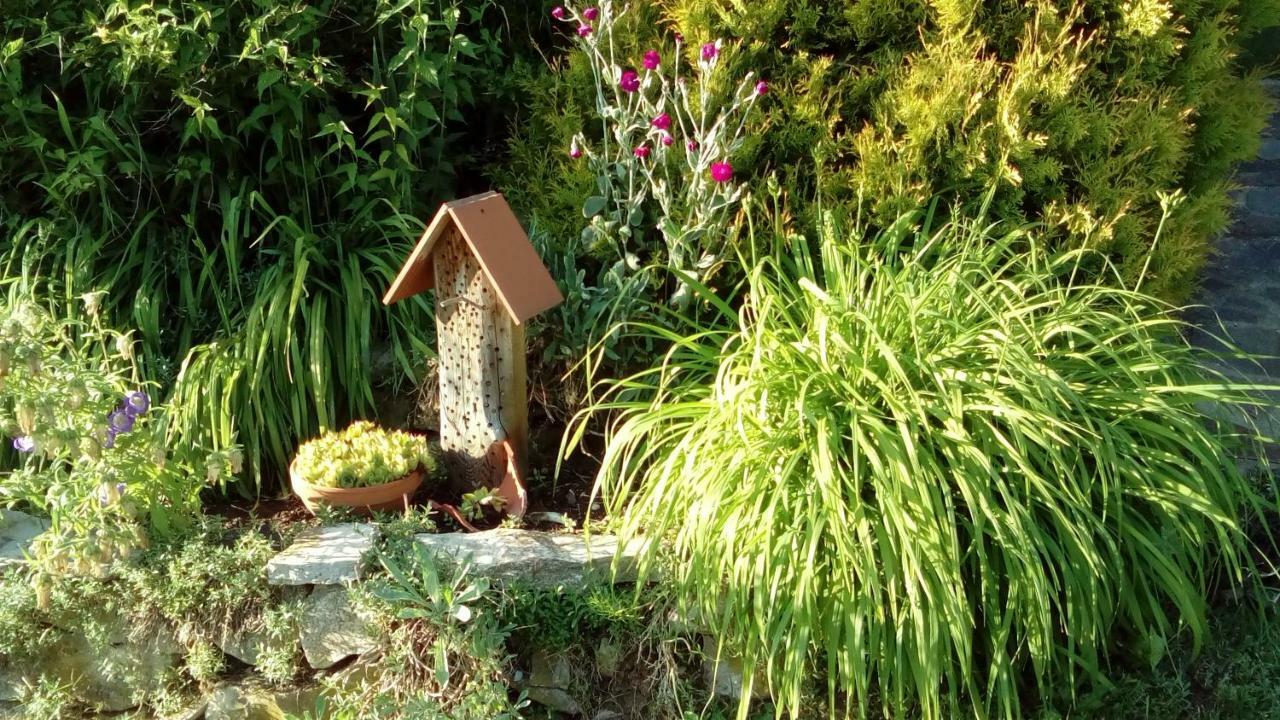 Apartment Mit Gartenblick Eckersdorf Bagian luar foto