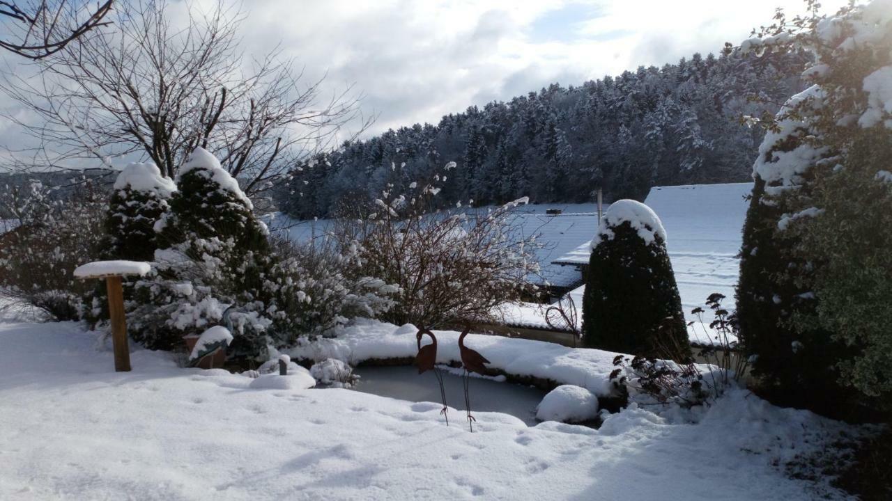 Apartment Mit Gartenblick Eckersdorf Bagian luar foto